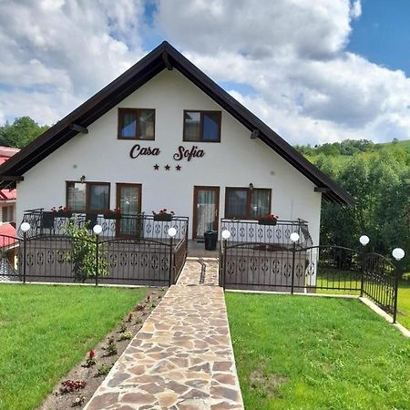 Casa Sofia Lägenhet Baltatesti Exteriör bild