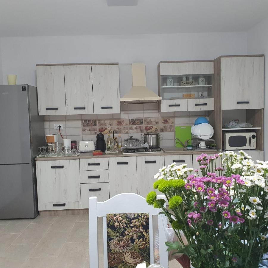 Casa Sofia Lägenhet Baltatesti Exteriör bild