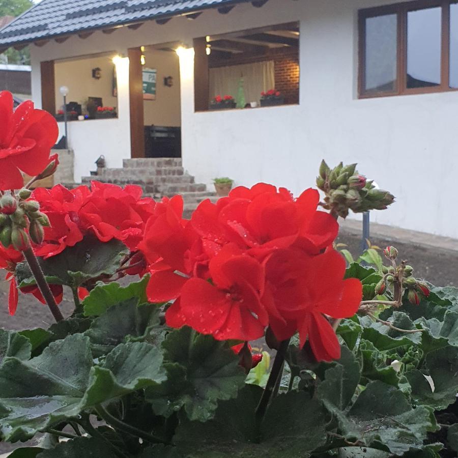 Casa Sofia Lägenhet Baltatesti Exteriör bild