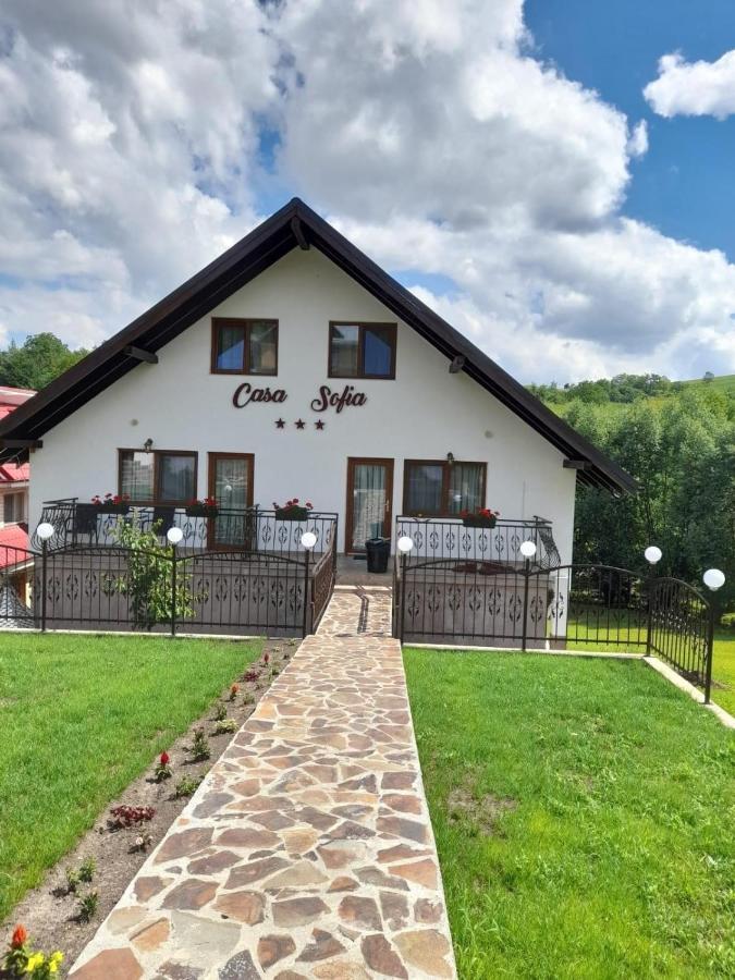 Casa Sofia Lägenhet Baltatesti Exteriör bild